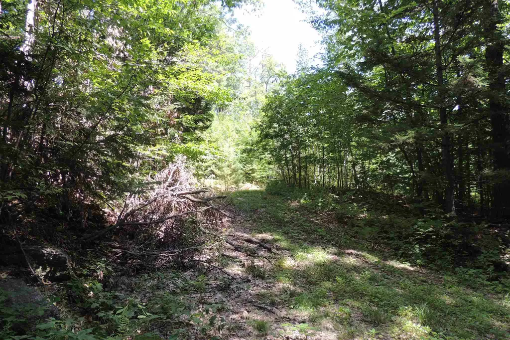 Melis Road Jamaica VT 05340