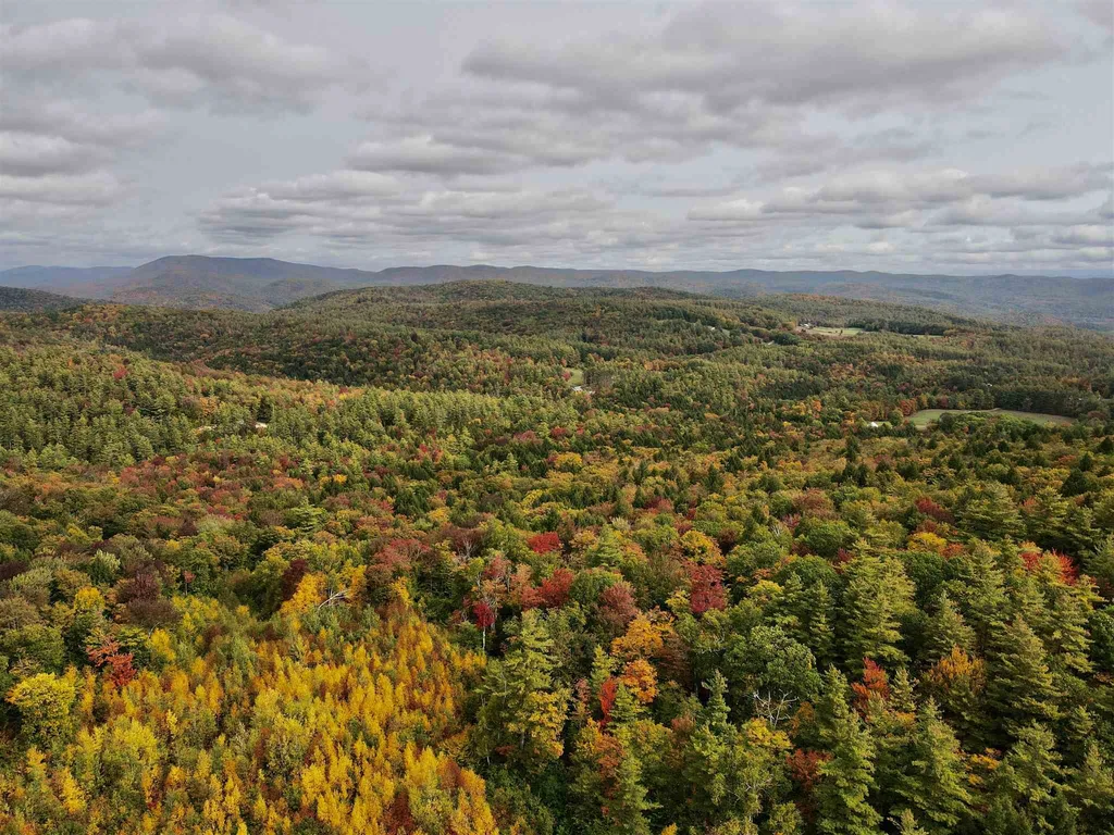 Melis Road Jamaica VT 05340