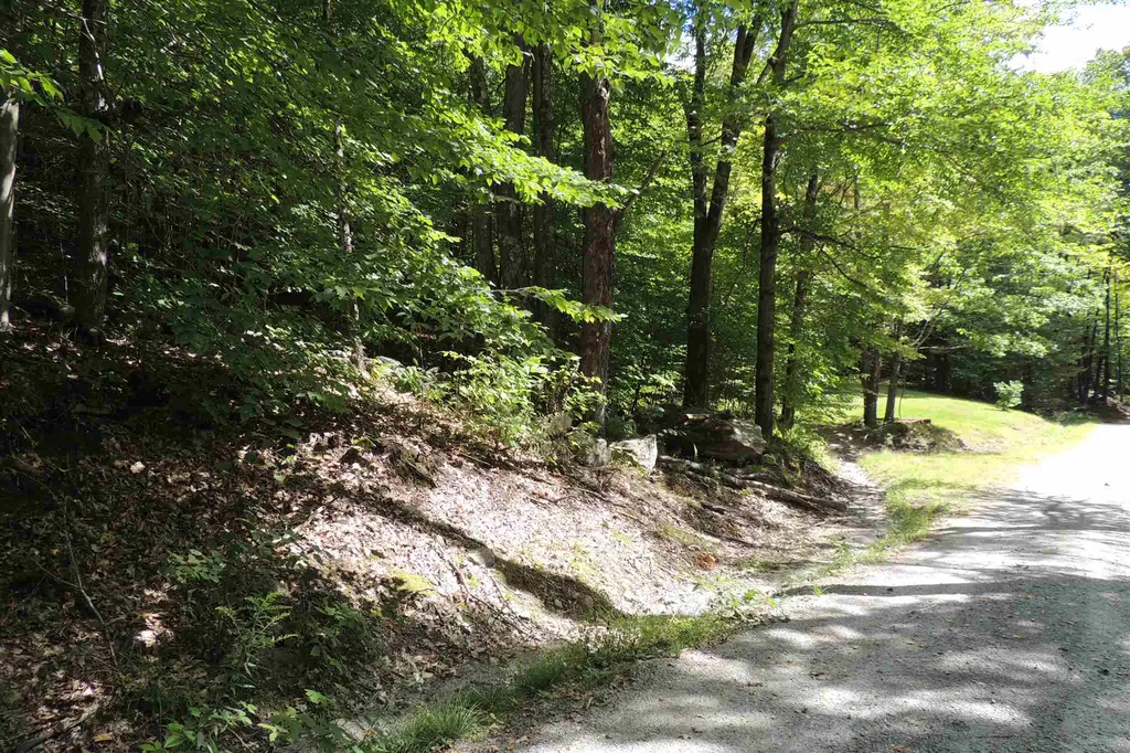 Melis Road Jamaica VT 05340