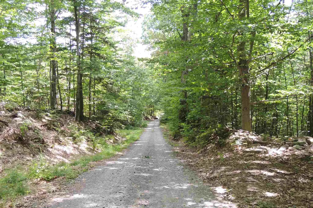 Melis Road Jamaica VT 05340