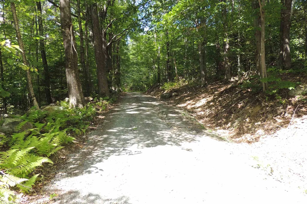 Melis Road Jamaica VT 05340