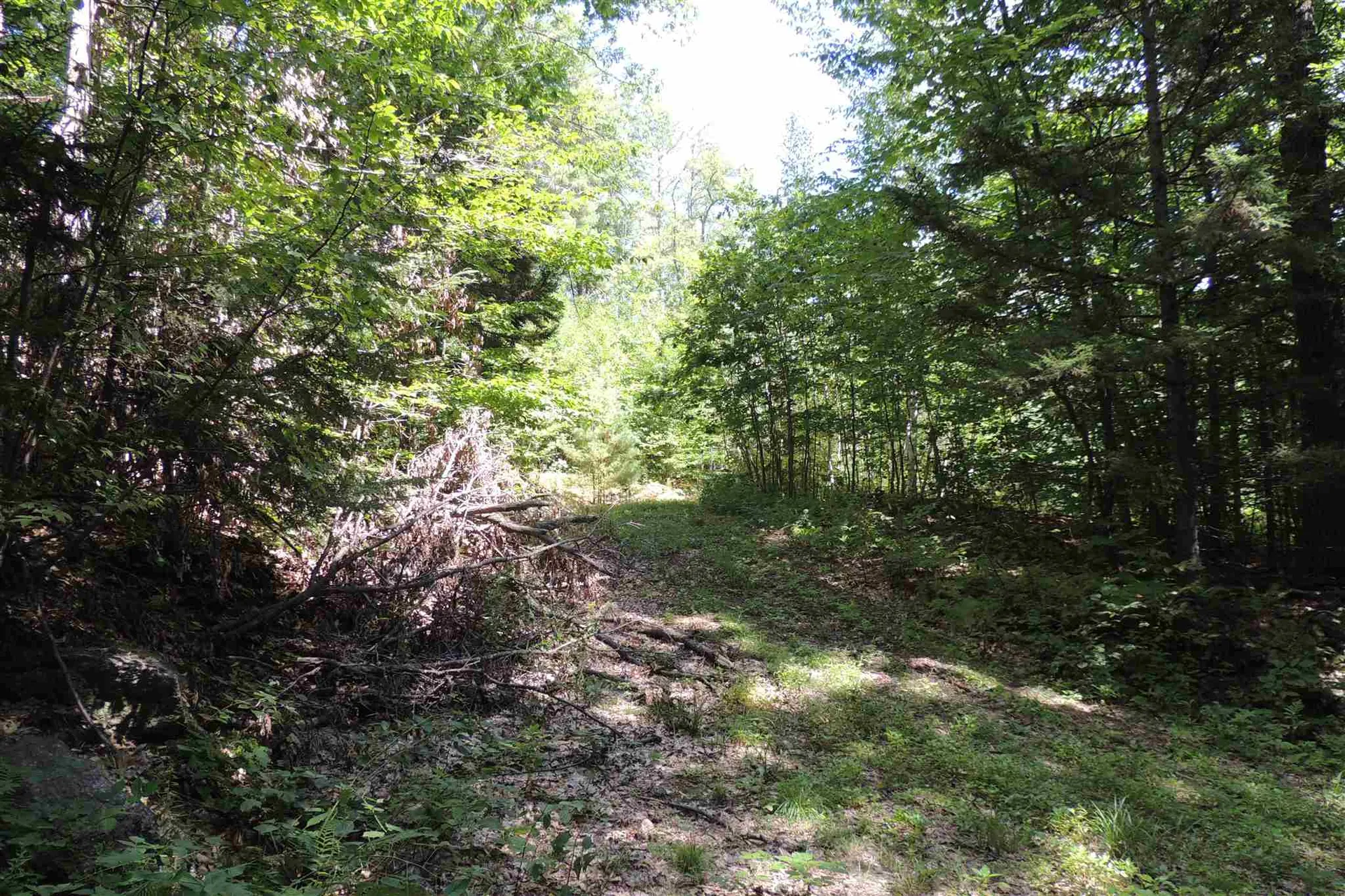 Melis Road Jamaica VT 05340