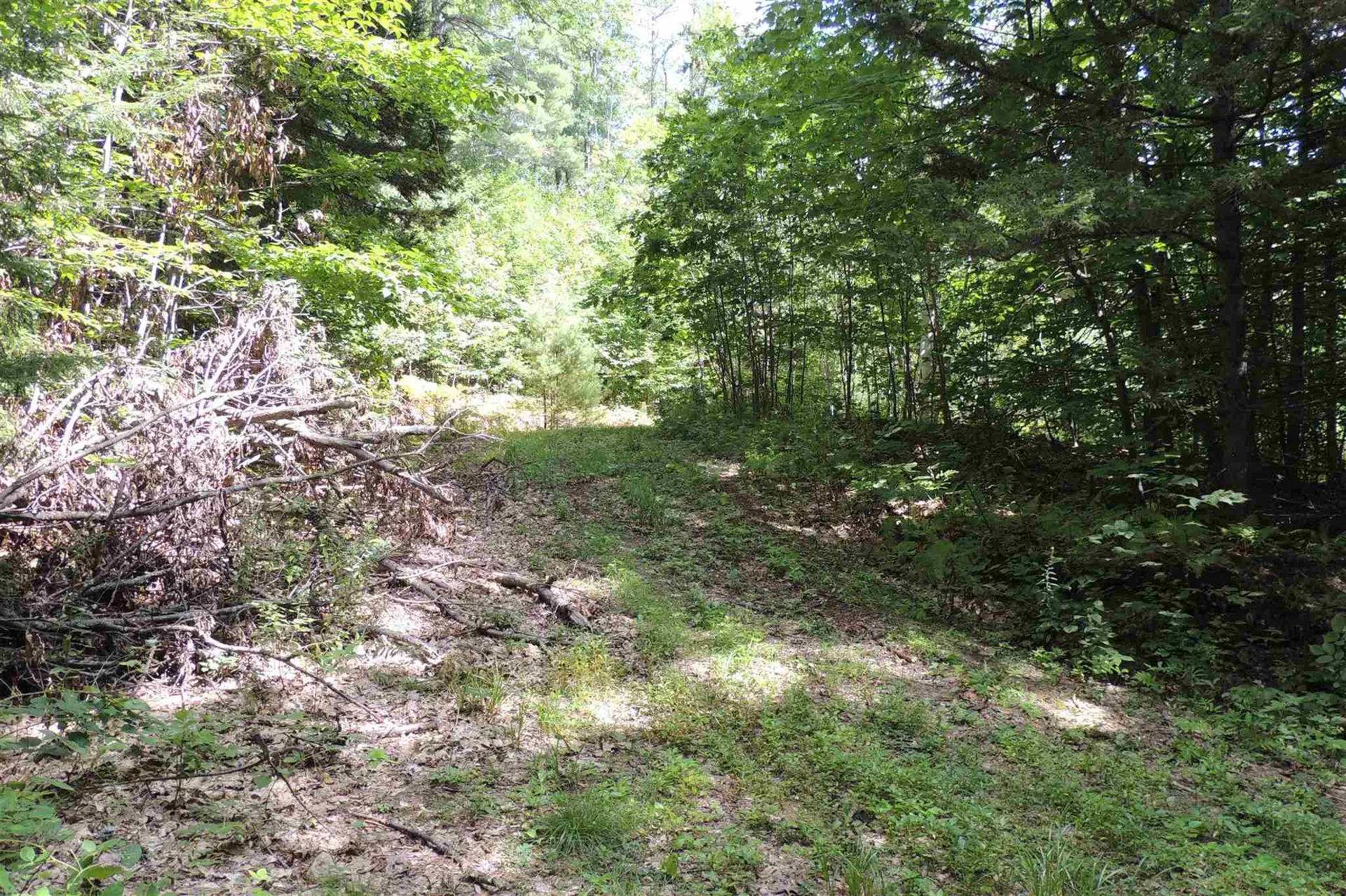 Melis Road Jamaica VT 05340