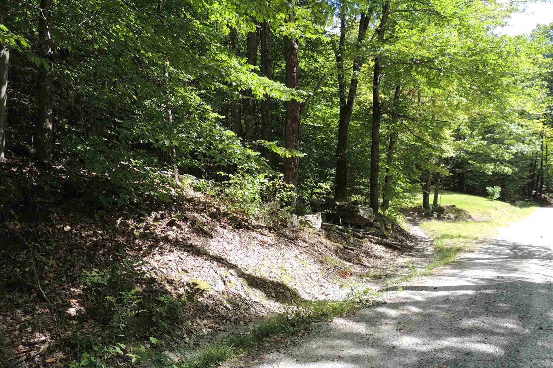 Melis Road Jamaica VT 05340