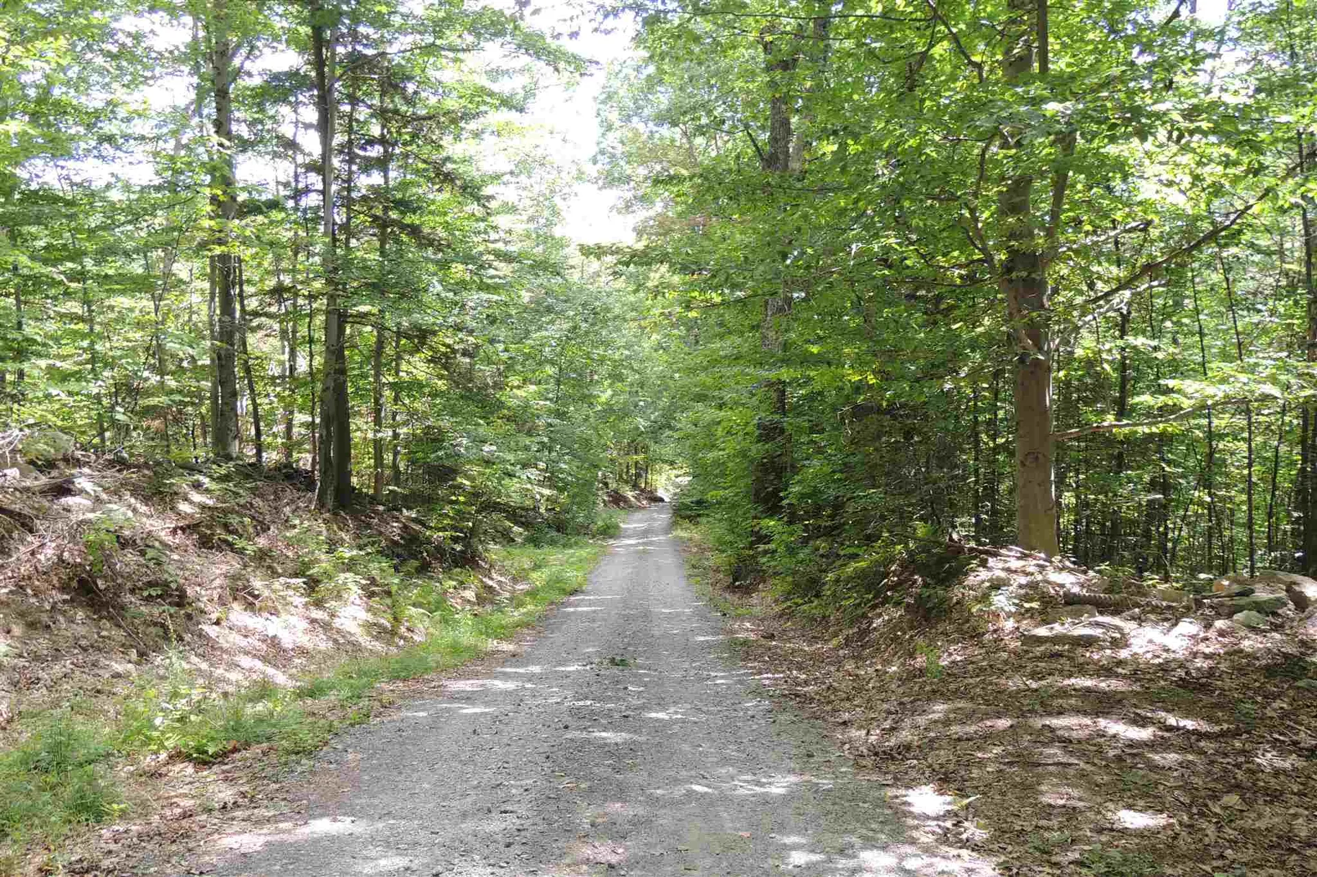 Melis Road Jamaica VT 05340