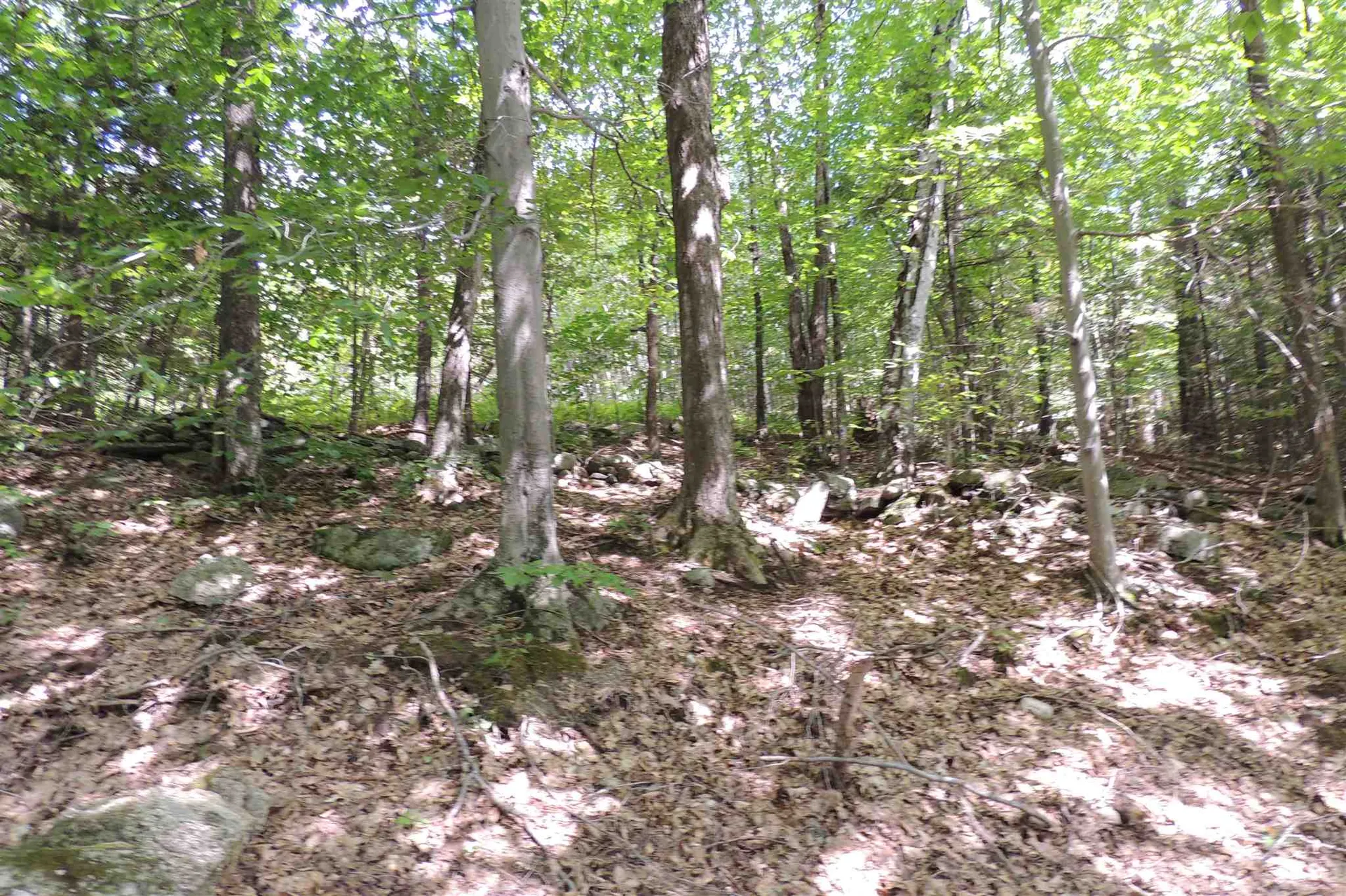 Melis Road Jamaica VT 05340