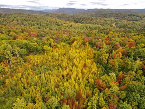 Melis Road Jamaica VT 05340