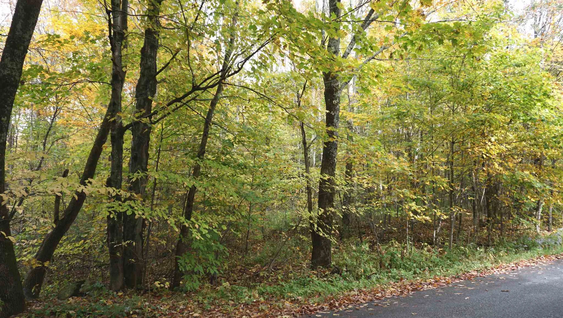 0 Ccc Road Shrewsbury VT 05738