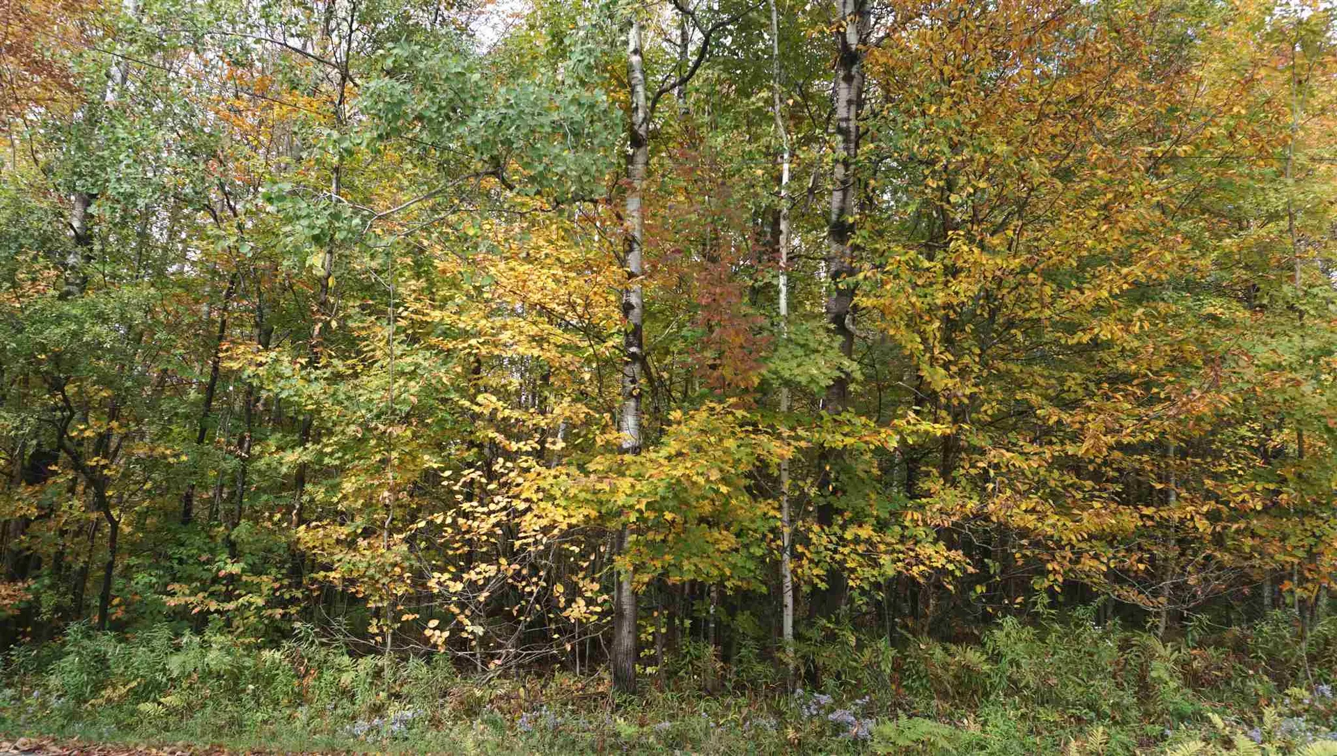 0 Ccc Road Shrewsbury VT 05738