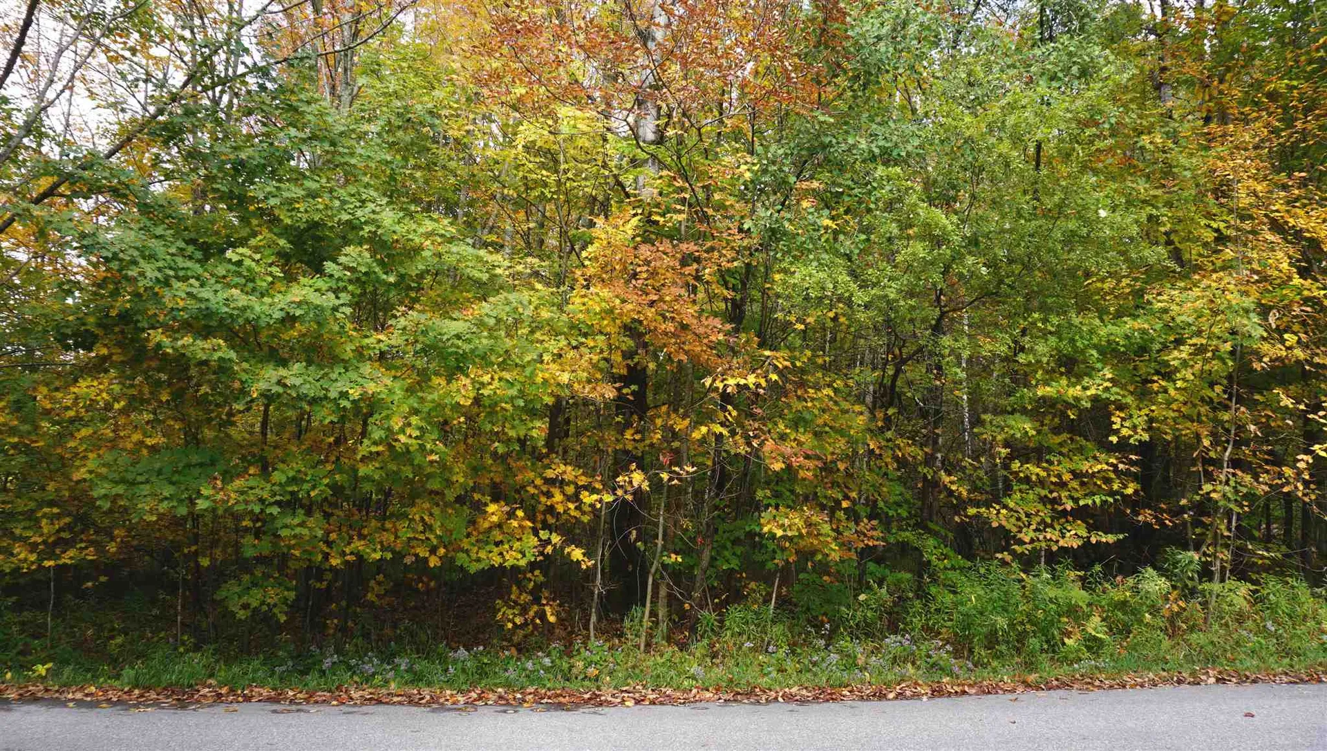 0 Ccc Road Shrewsbury VT 05738