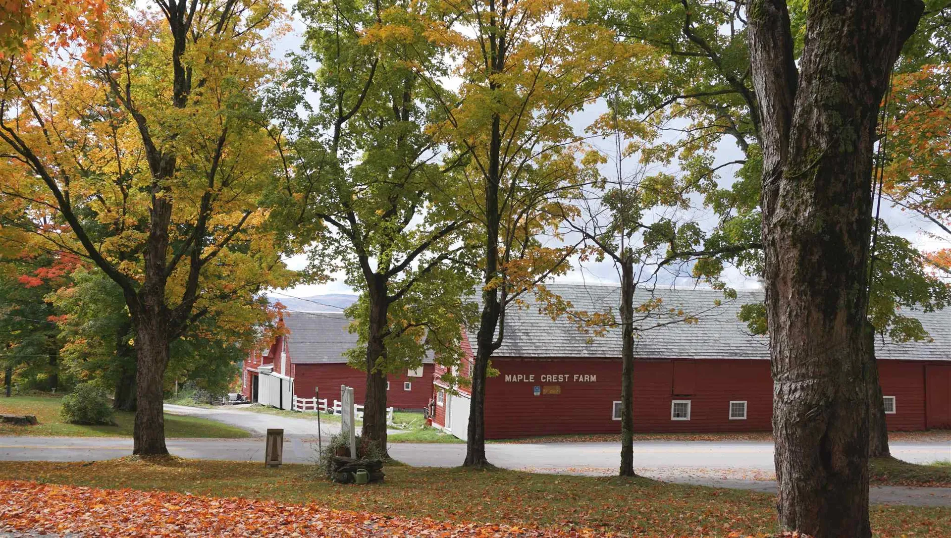 0 Ccc Road Shrewsbury VT 05738