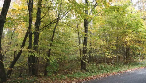 0 Ccc Road Shrewsbury VT 05738