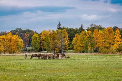1 Windmill Hill Shelburne VT 05482