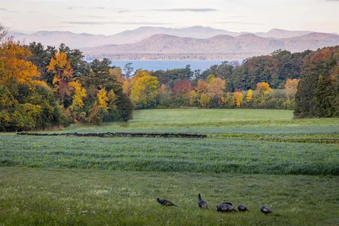 1 Windmill Hill Shelburne VT 05482