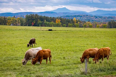 1 Windmill Hill Shelburne VT 05482