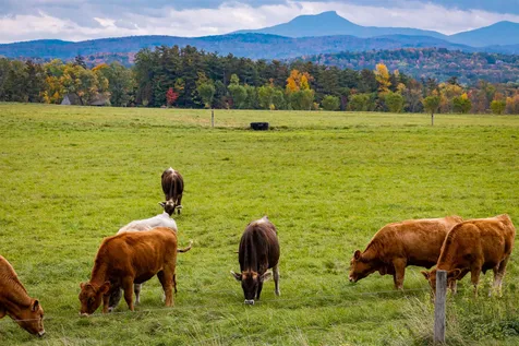 1 Windmill Hill Shelburne VT 05482
