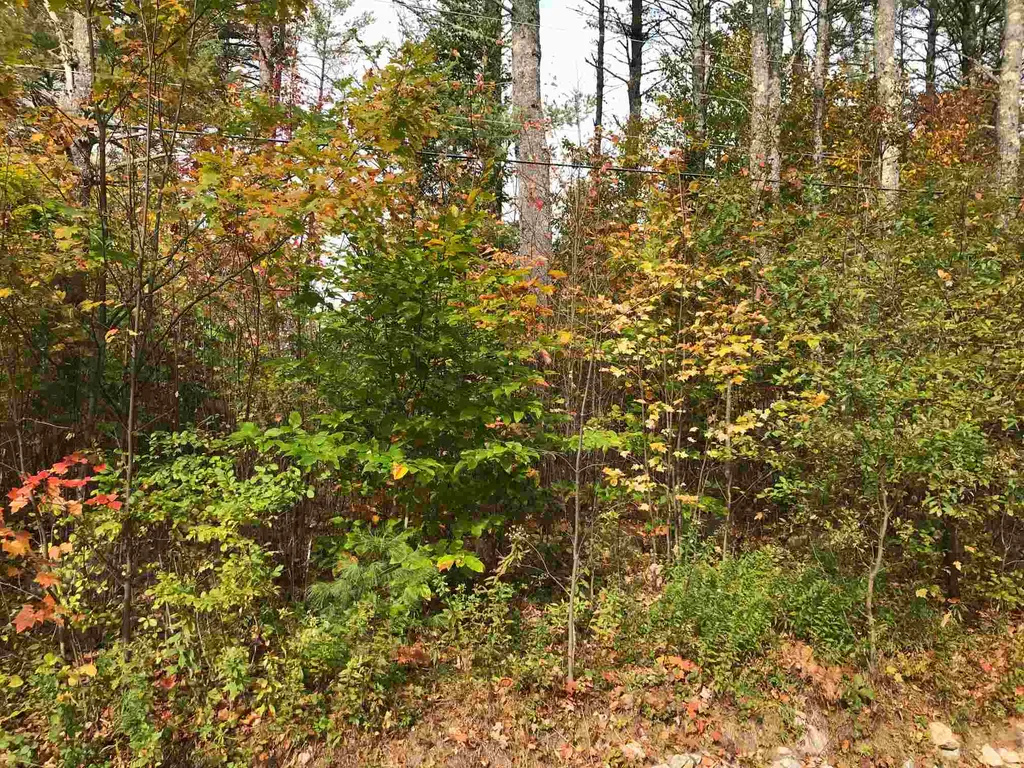 00 Granite And Leighton Corner Road Ossipee NH 03864