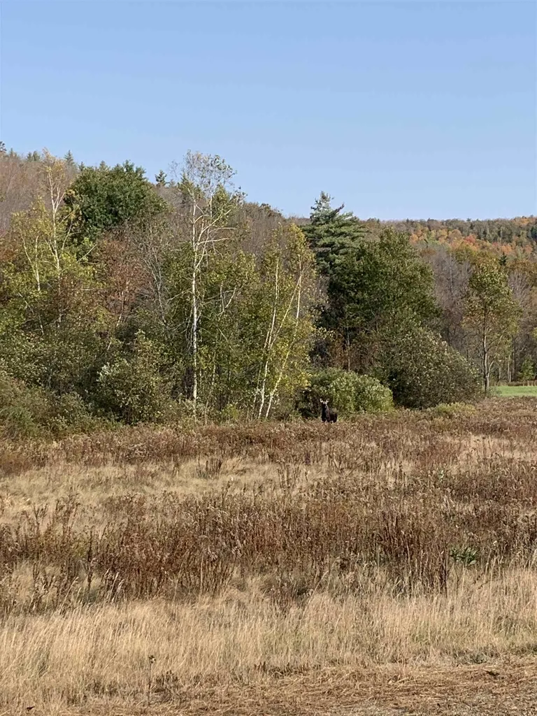 385 Route 25c Piermont NH 03779