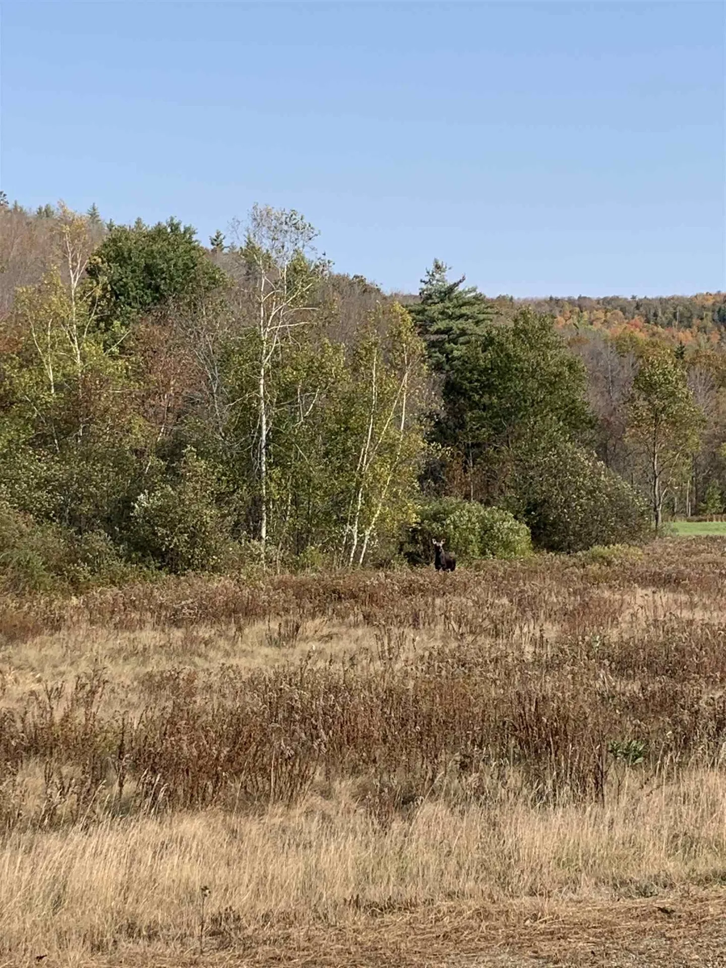 385 Route 25c Piermont NH 03779
