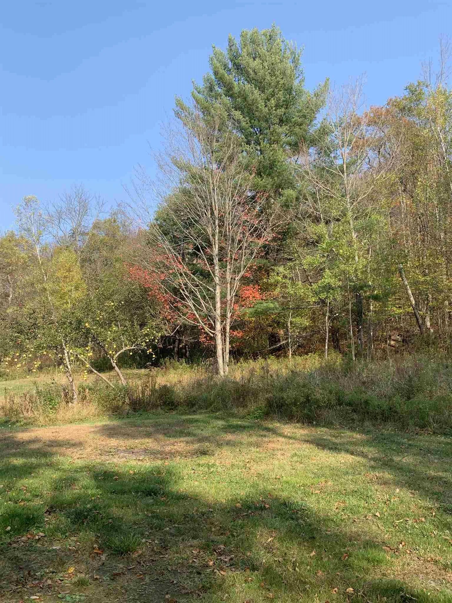 385 Route 25c Piermont NH 03779