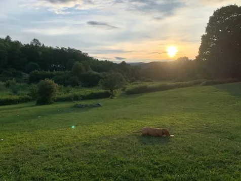 675 College Hill Road Woodstock VT 05091