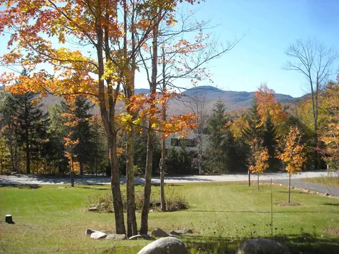 1076 Notchbrook Road Stowe VT 05672
