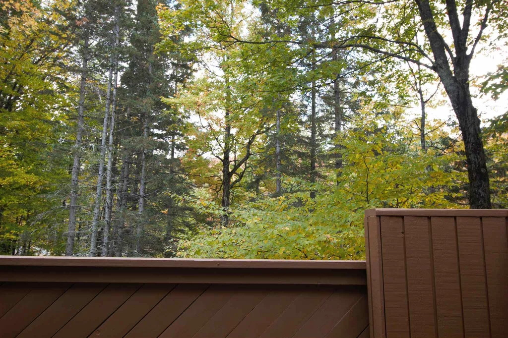 99 Sugar Run Fayston VT 05673