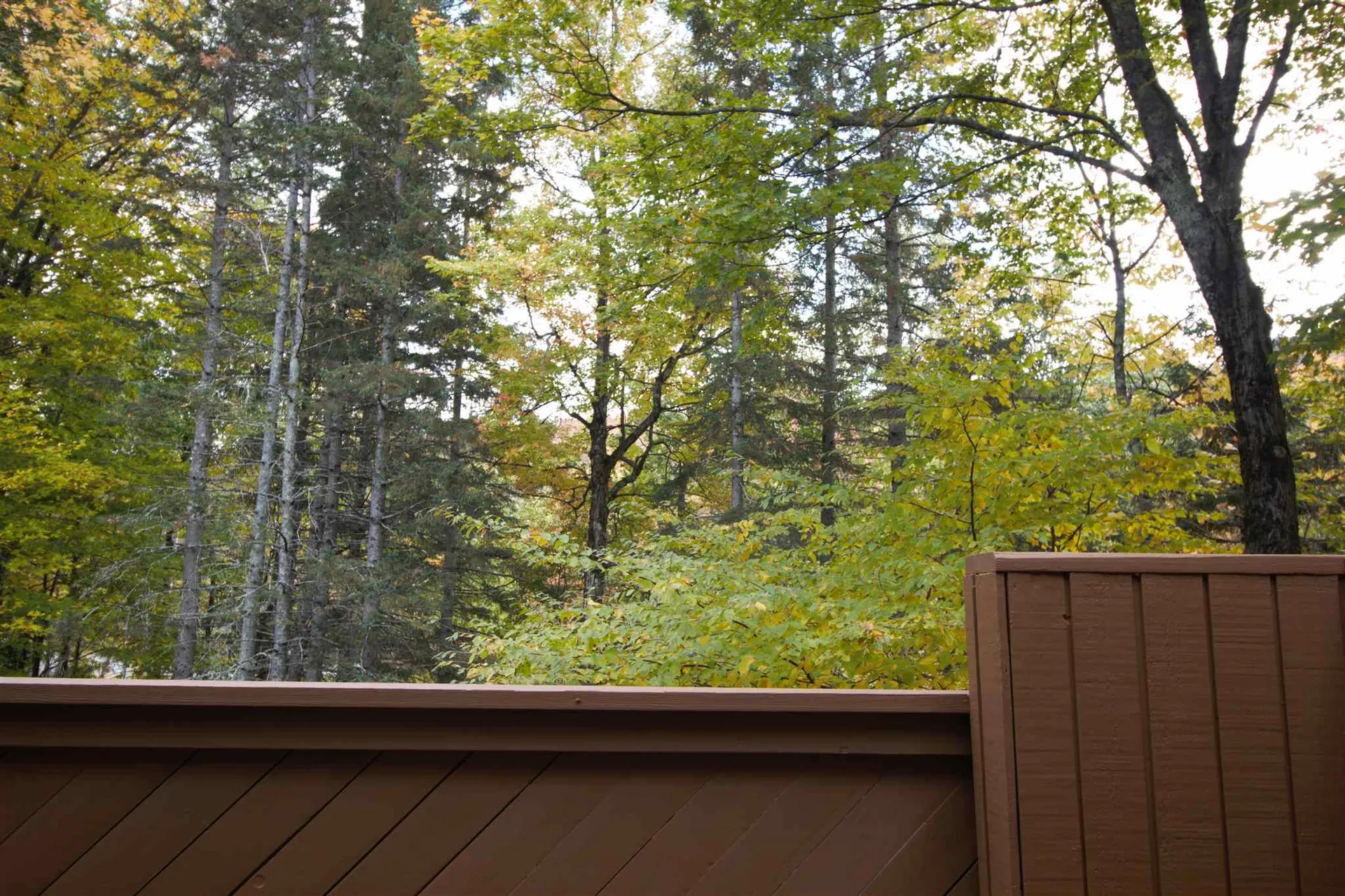 99 Sugar Run Fayston VT 05673