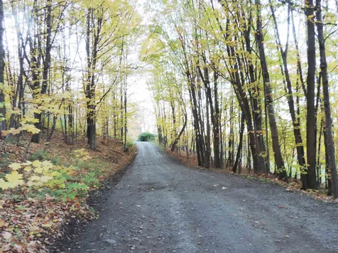 513 Herrick Road Derby VT 05829