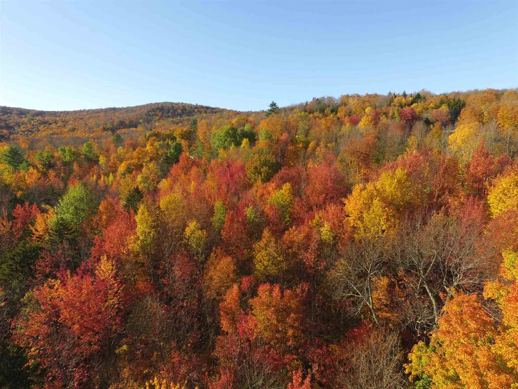 00 Kew Vasseur Road Fayston VT 05673