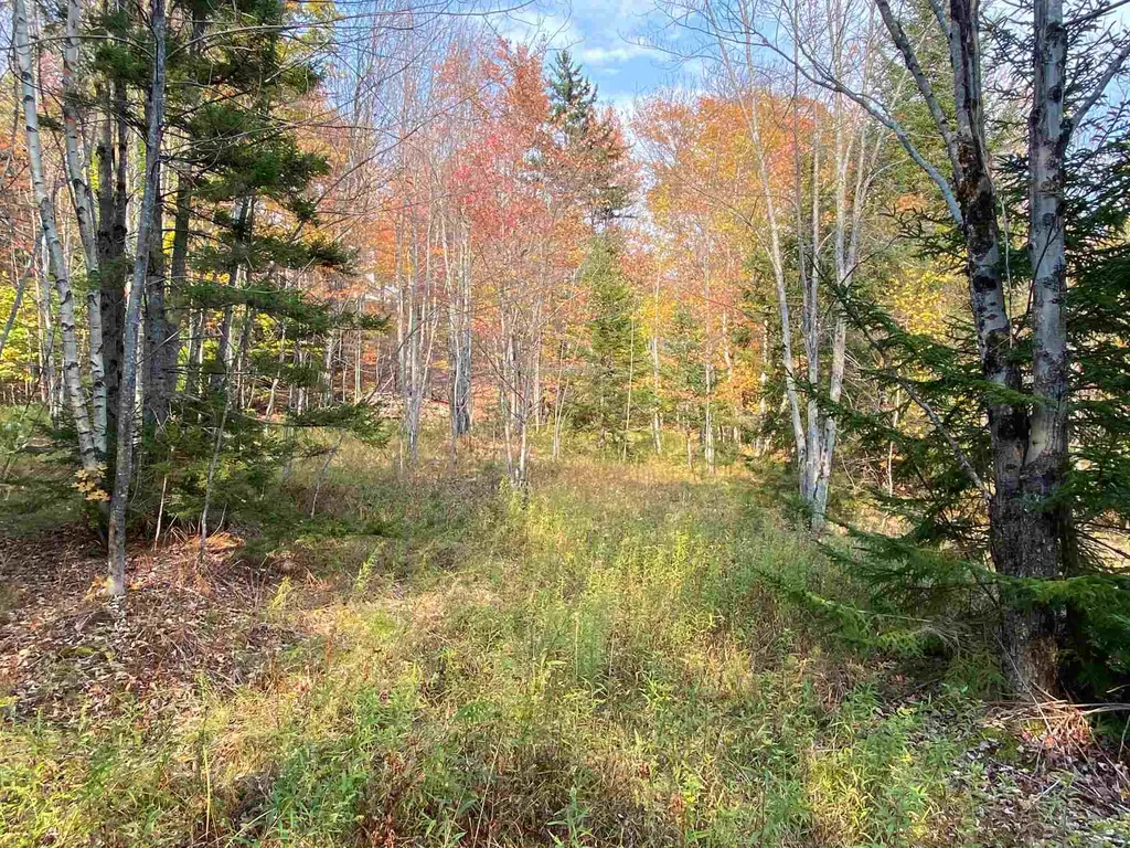 00 Kew Vasseur Road Fayston VT 05673