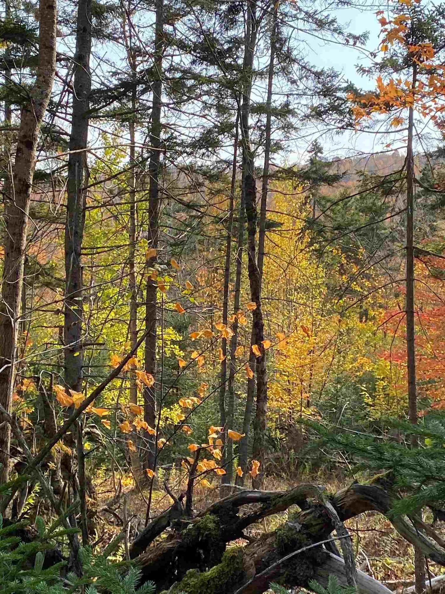 00 Kew Vasseur Road Fayston VT 05673