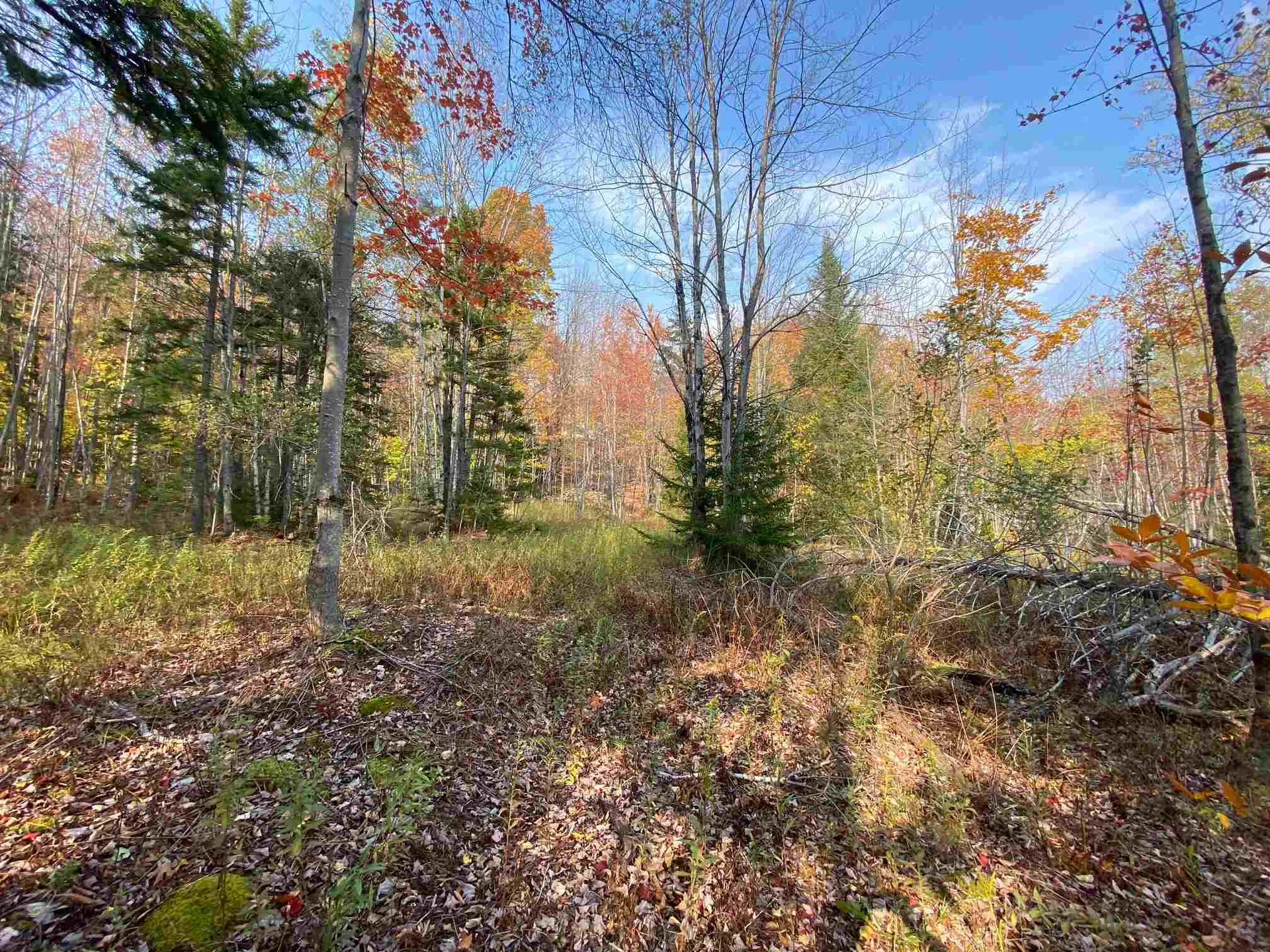 00 Kew Vasseur Road Fayston VT 05673