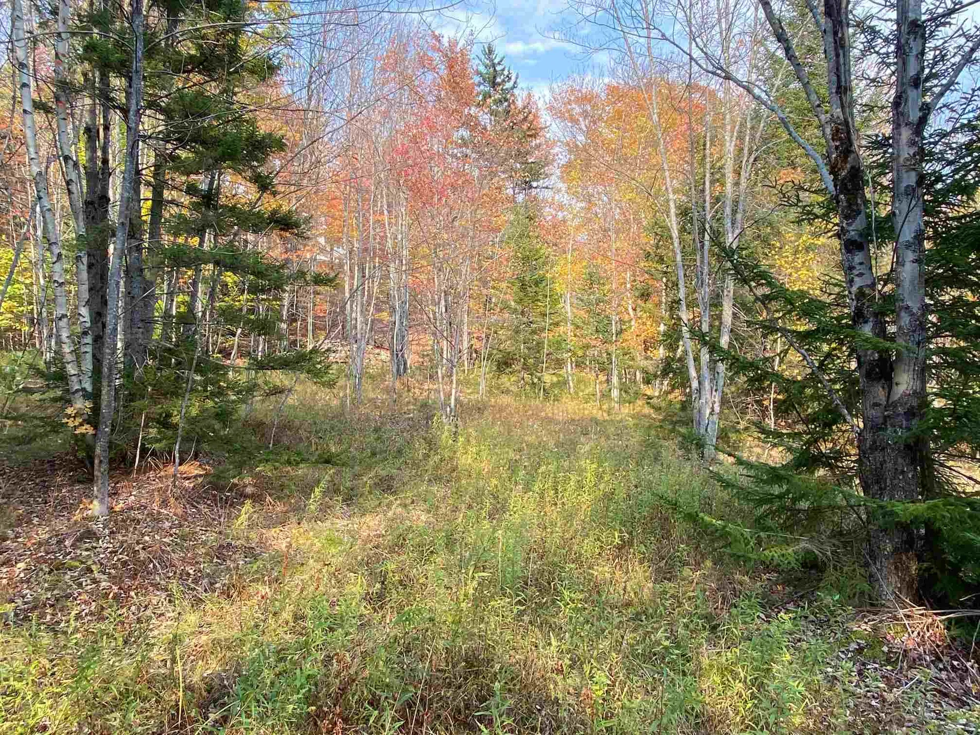 00 Kew Vasseur Road Fayston VT 05673