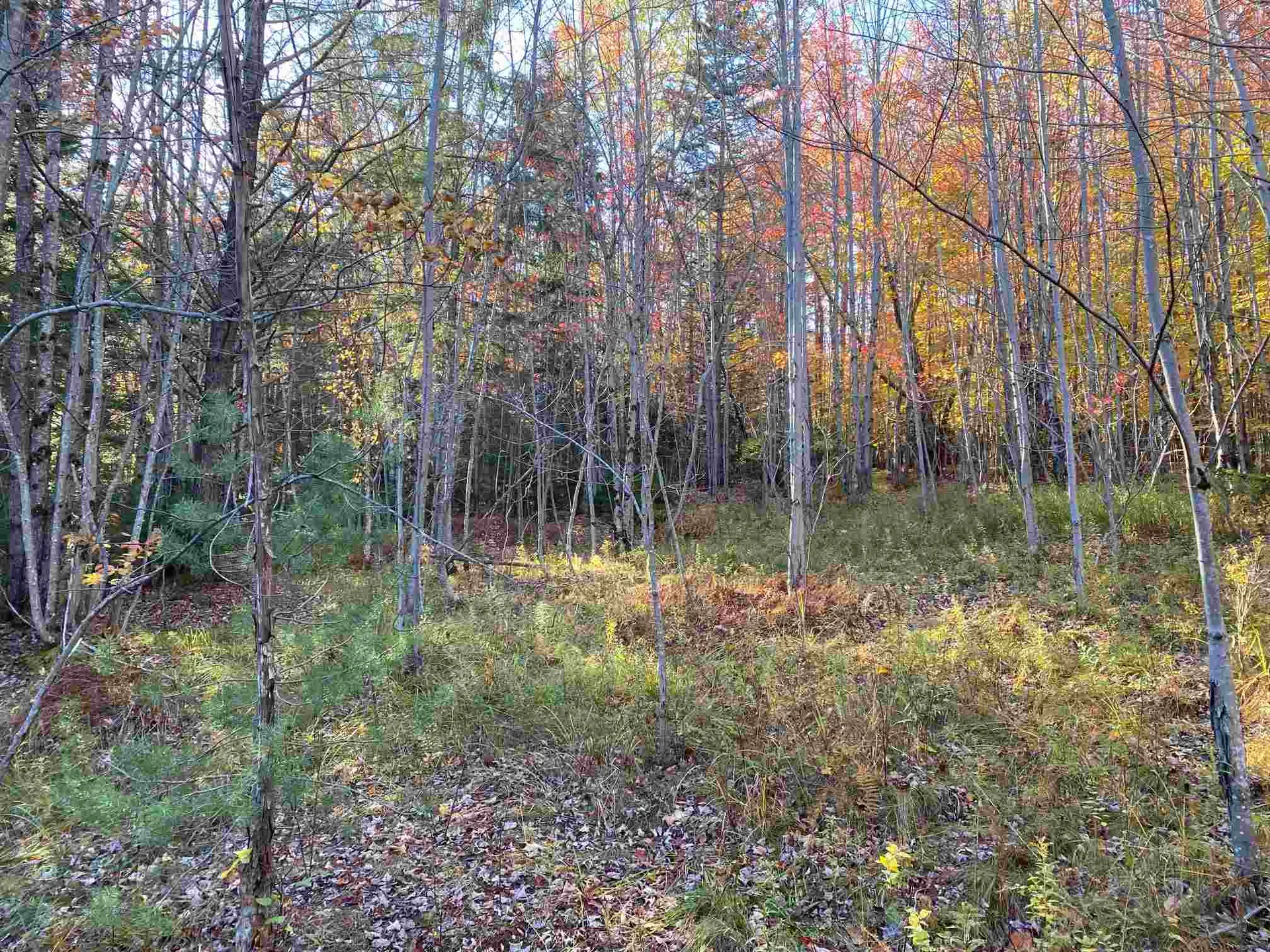 00 Kew Vasseur Road Fayston VT 05673