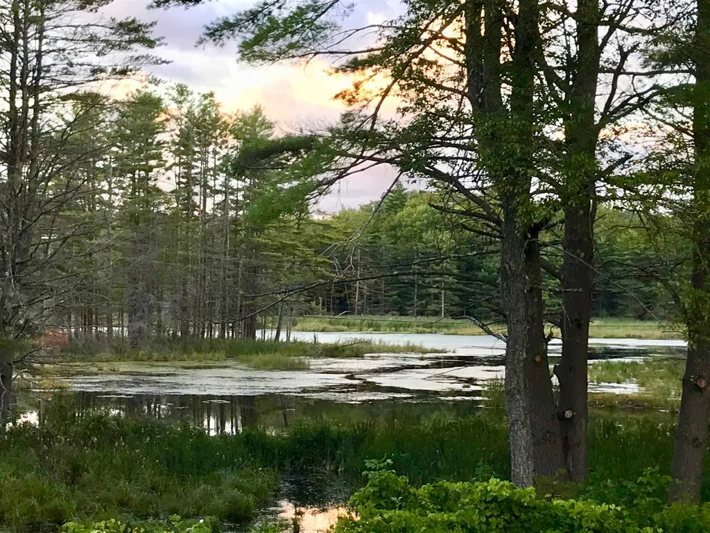 35 Stevens Road Cavendish VT 05142