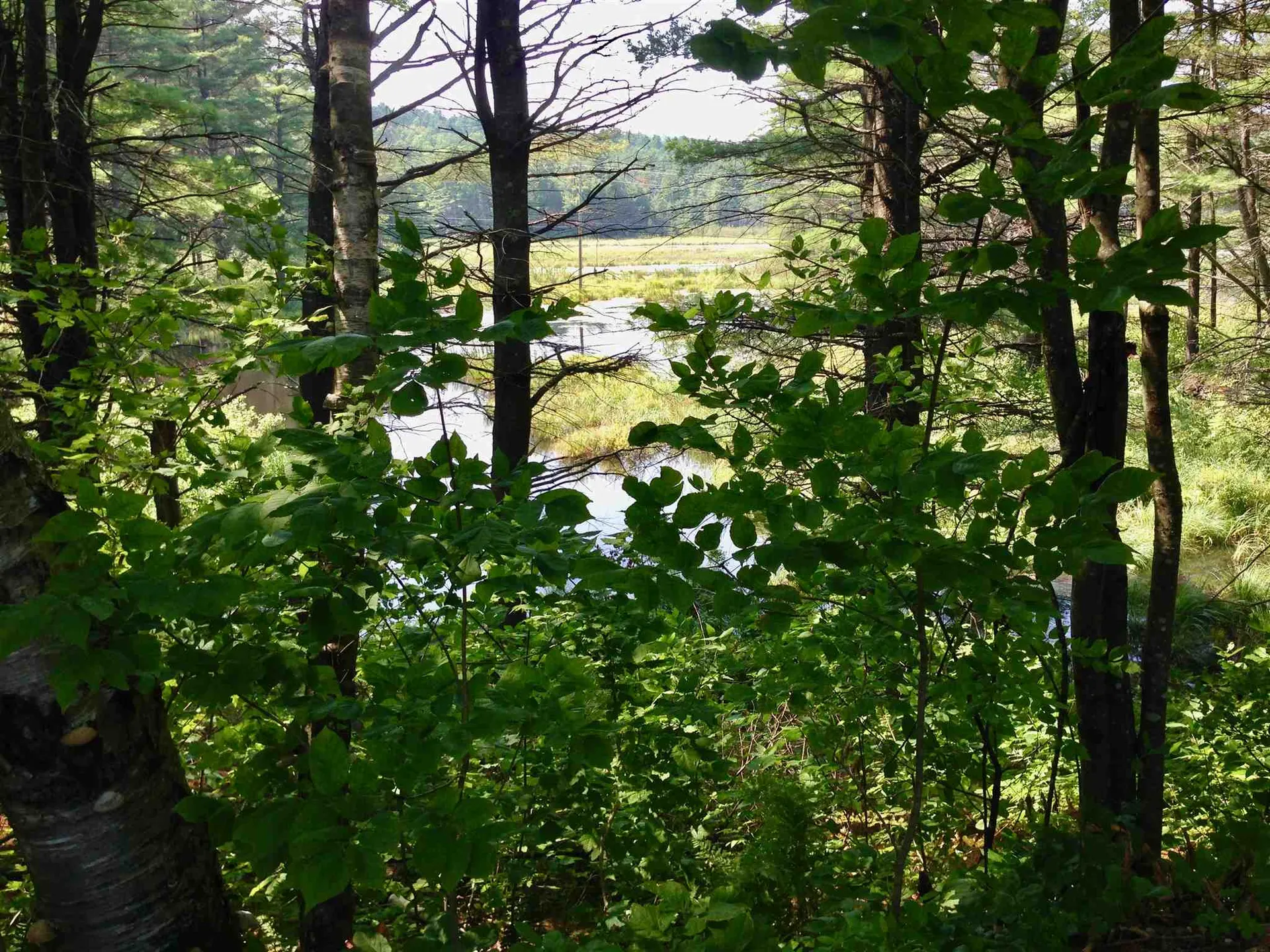 35 Stevens Road Cavendish VT 05142