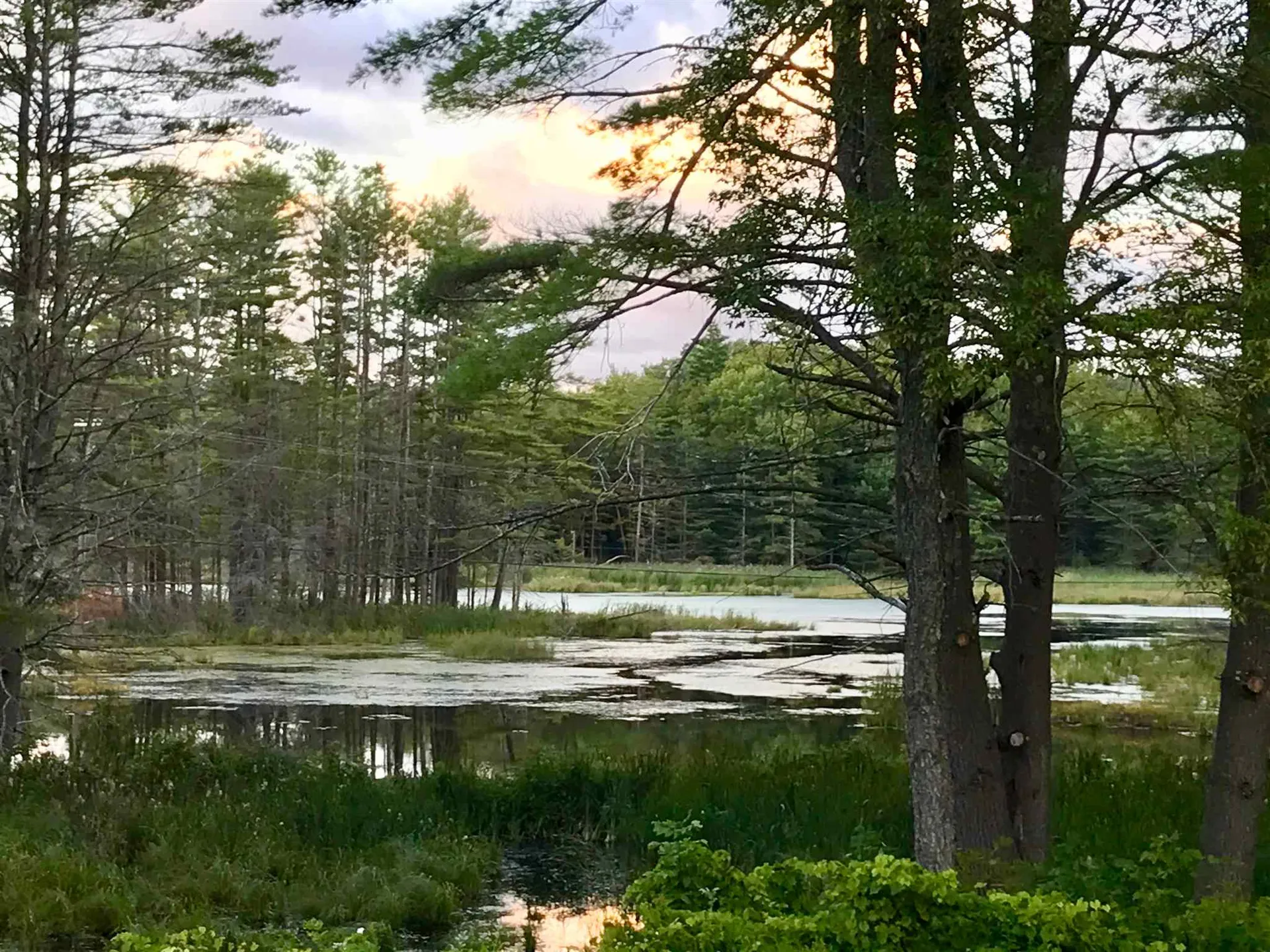 35 Stevens Road Cavendish VT 05142