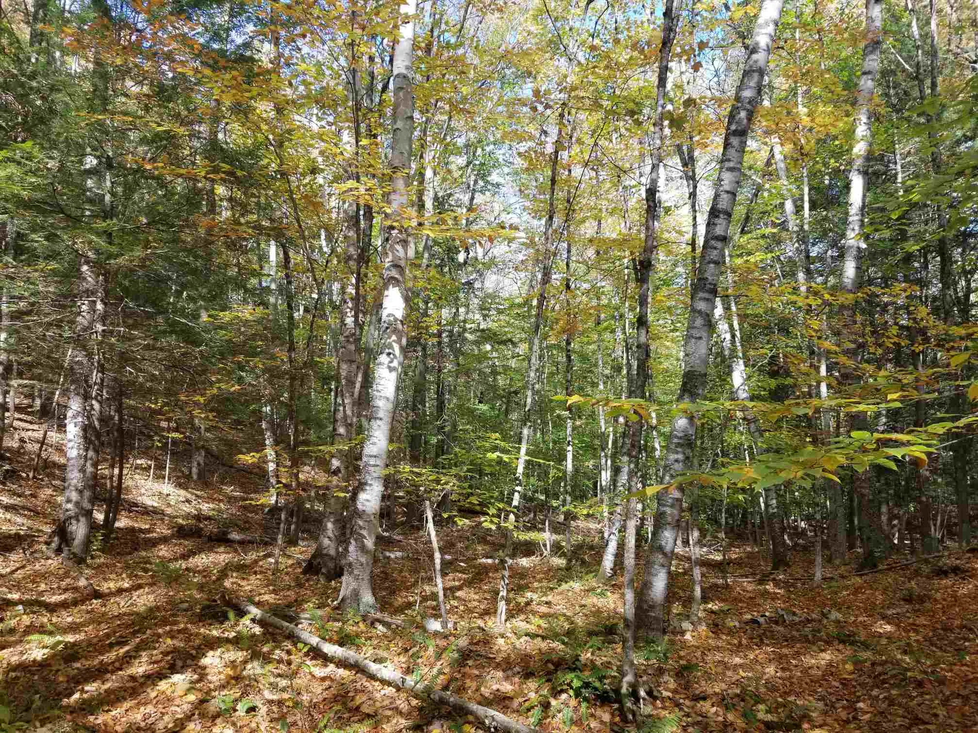 201 Upper Loveland Road Norwich VT 05055