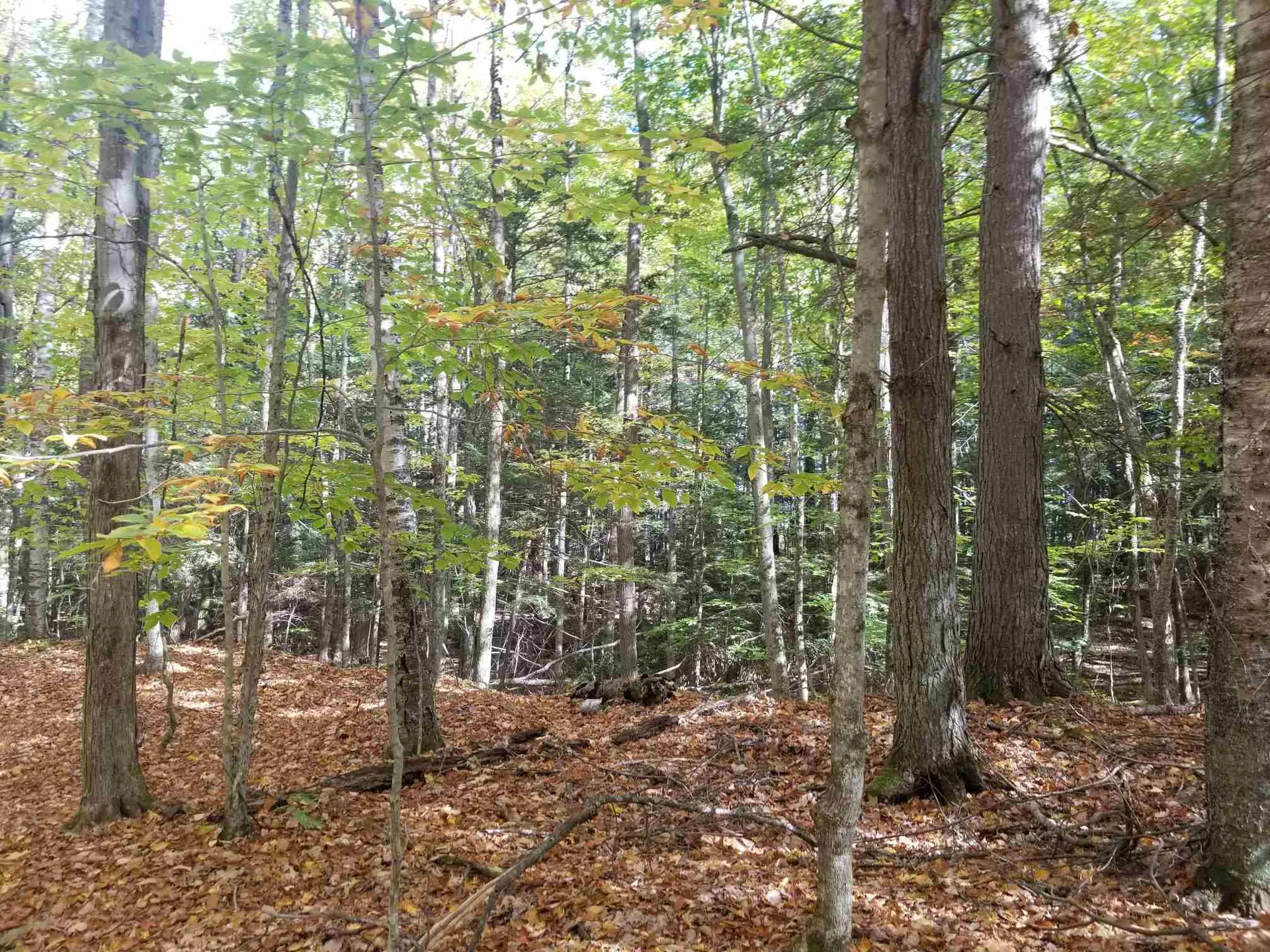 201 Upper Loveland Road Norwich VT 05055