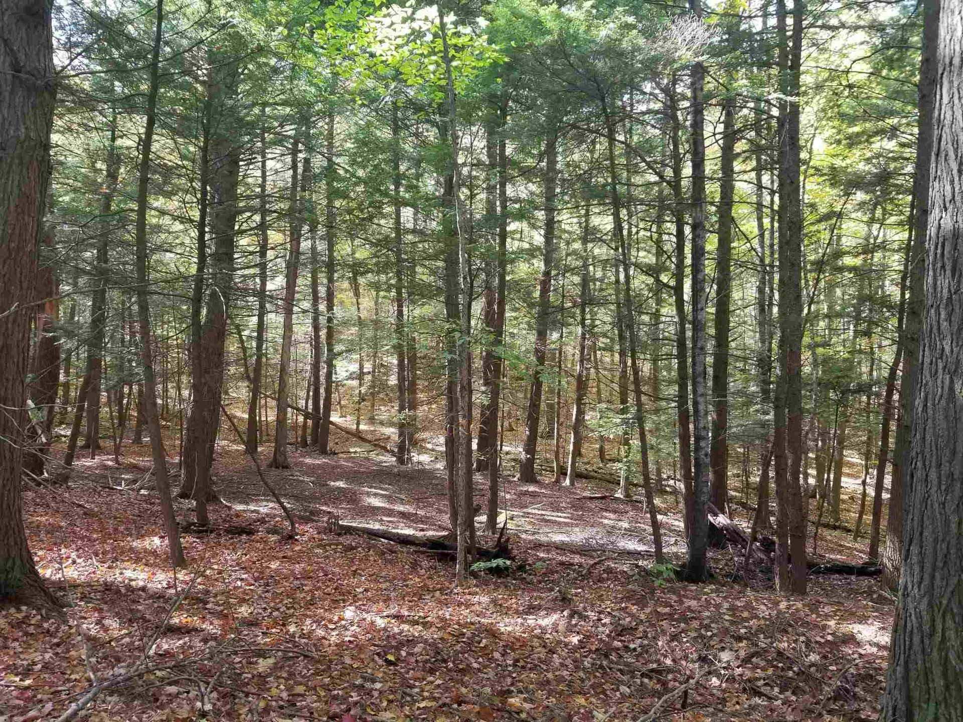 201 Upper Loveland Road Norwich VT 05055