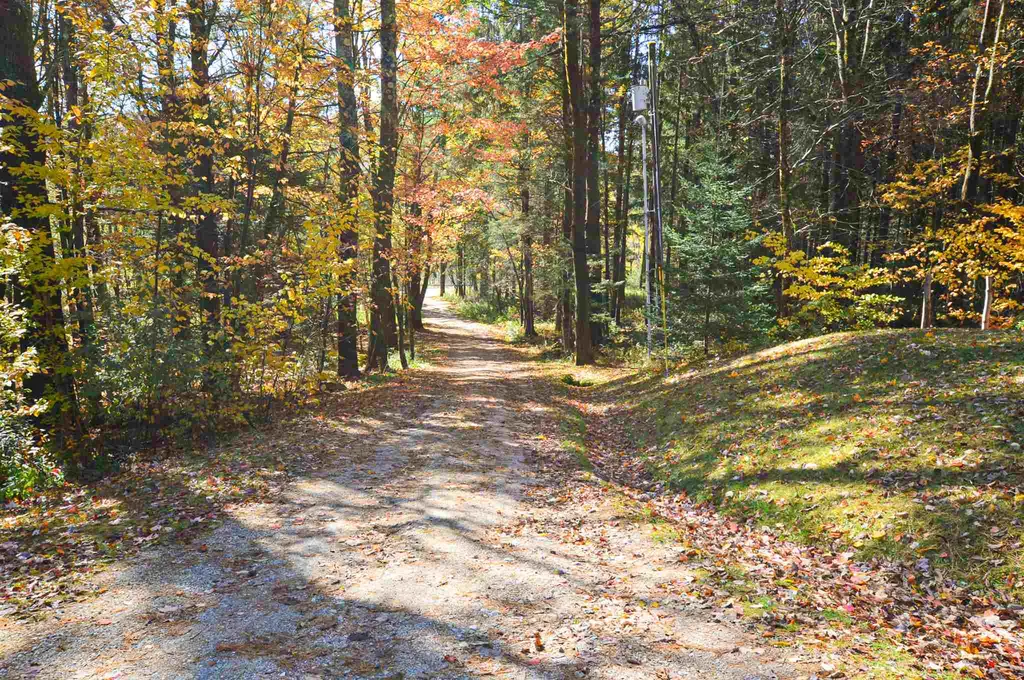 5503 155 Route Mount Holly VT 05758