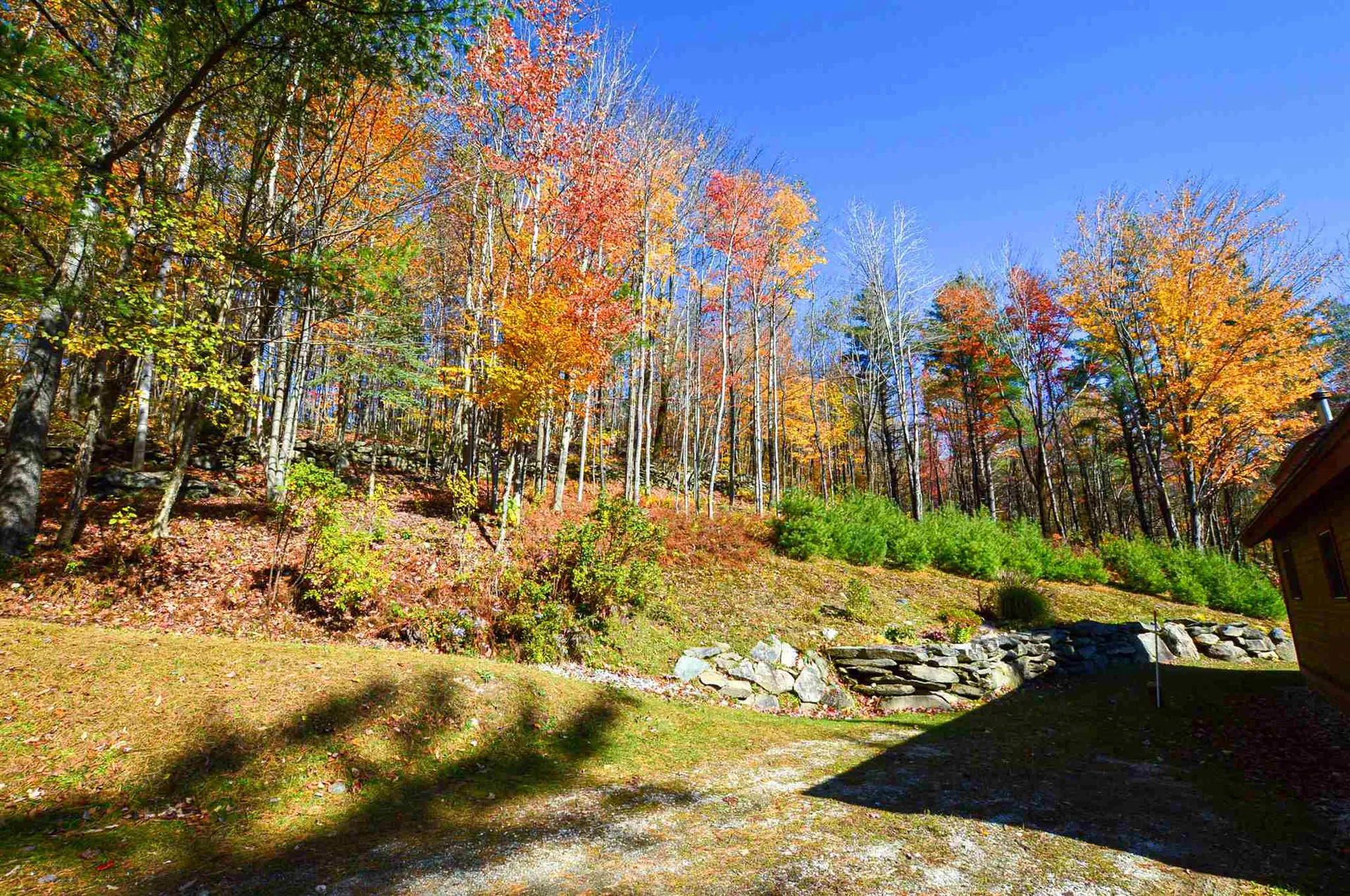 5503 155 Route Mount Holly VT 05758