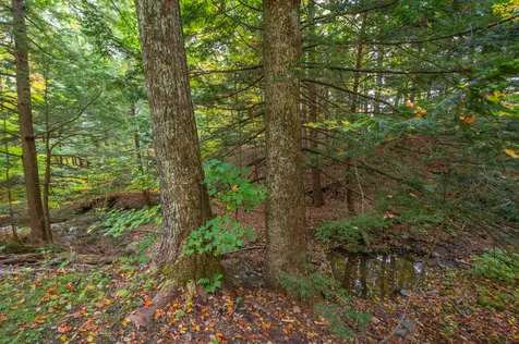 15 Whites Hill Road Dover VT 05341