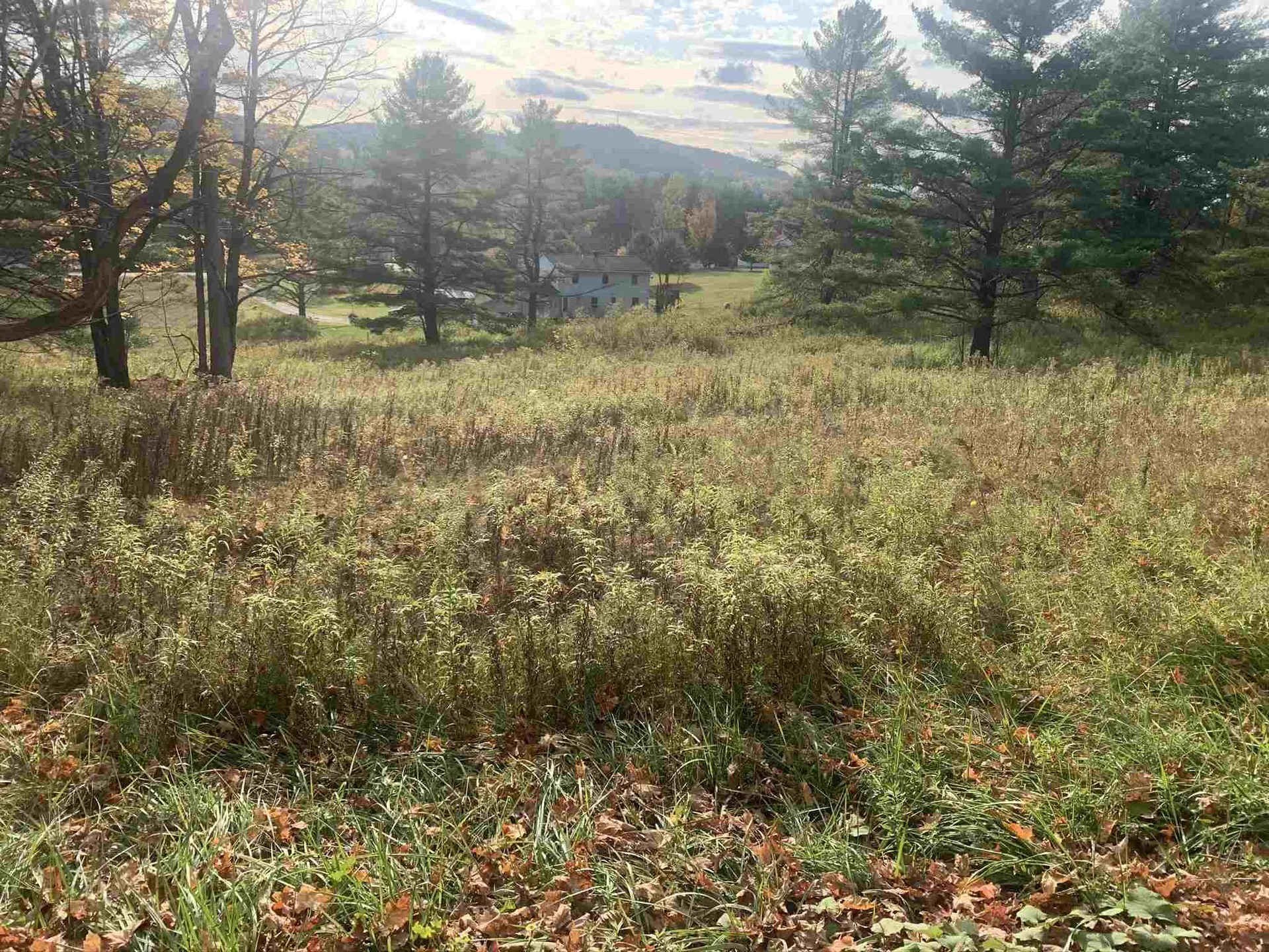 Taplin Road Barre Town VT 05641