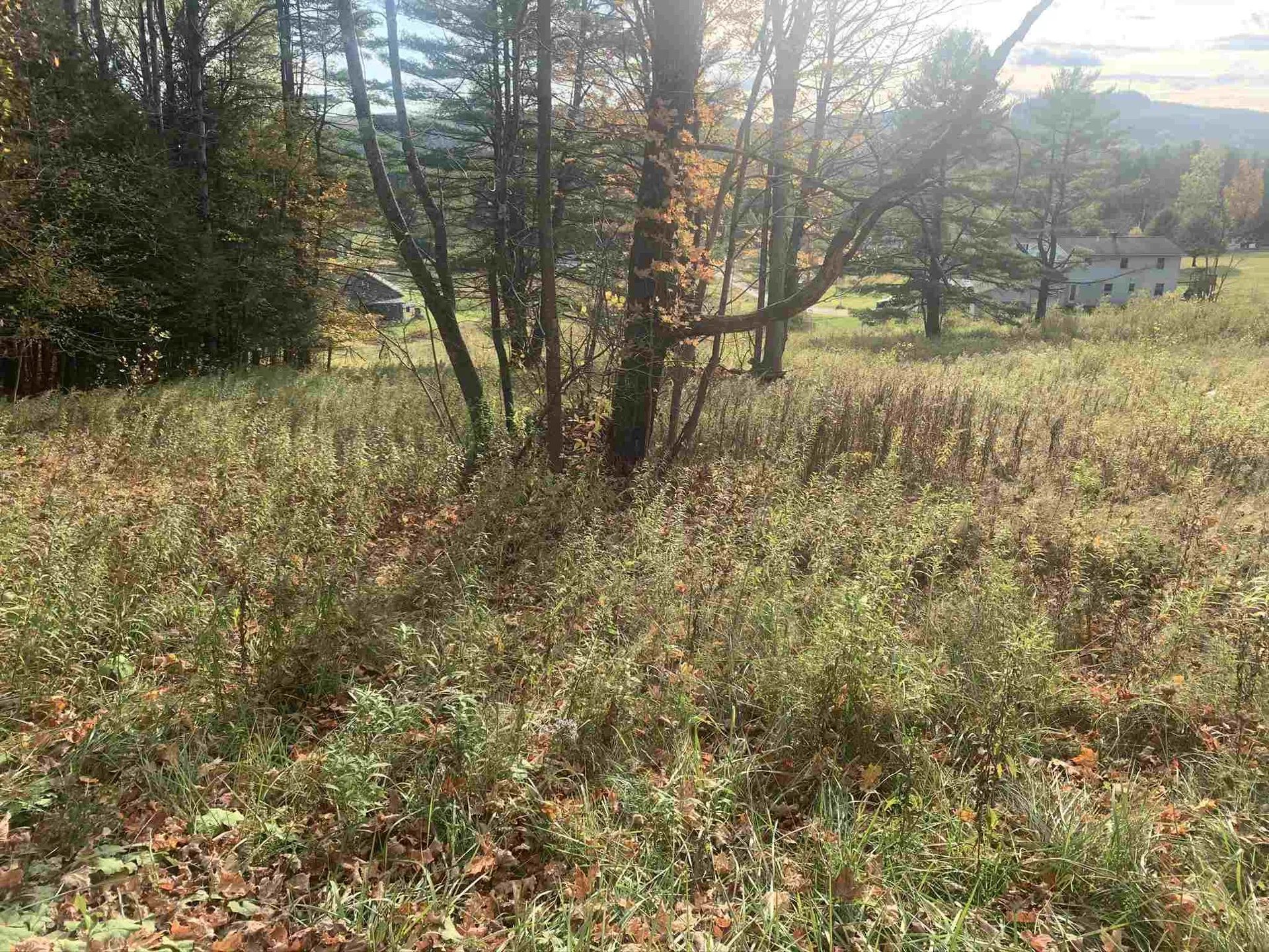 Taplin Road Barre Town VT 05641