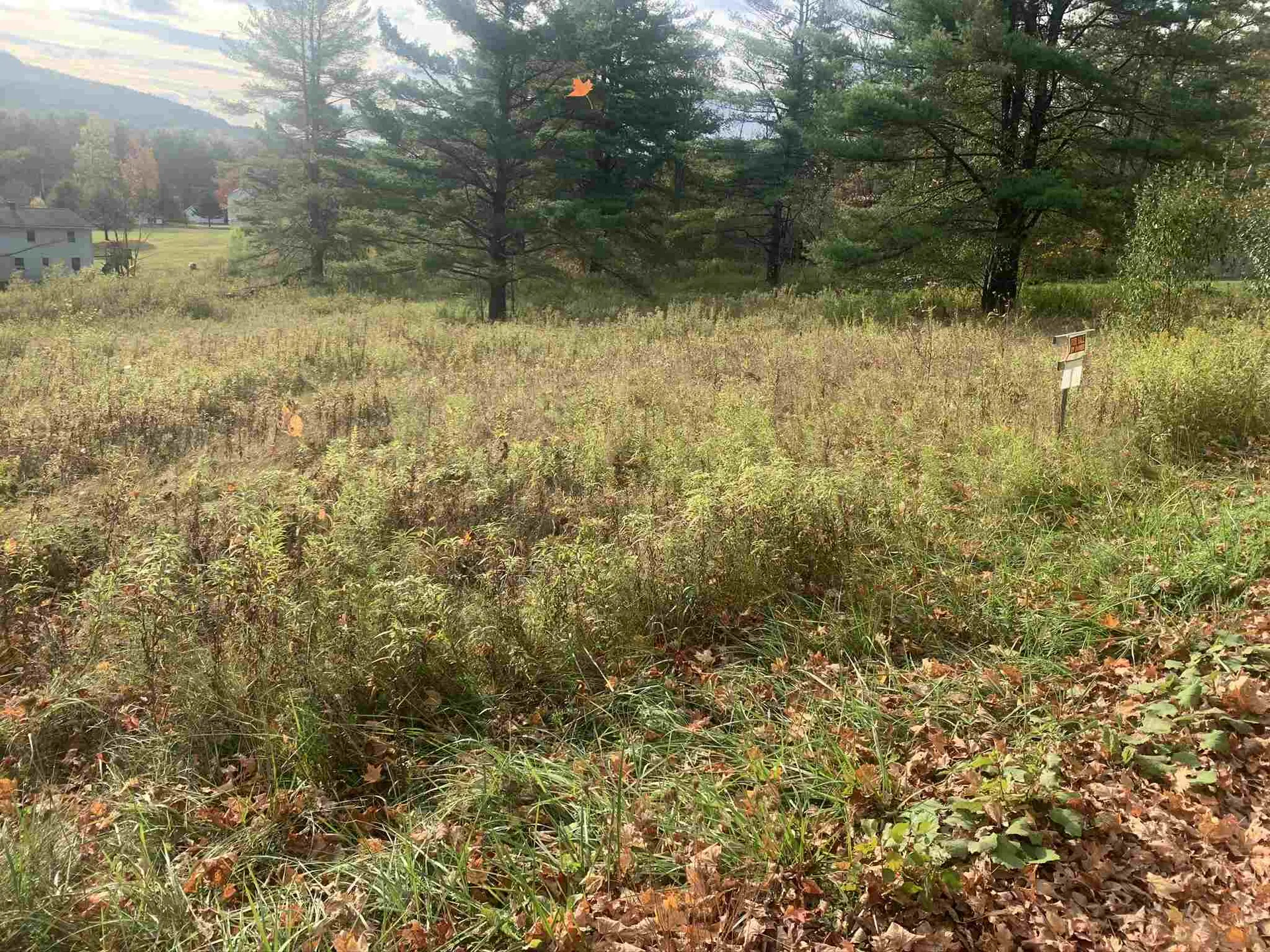 Taplin Road Barre Town VT 05641