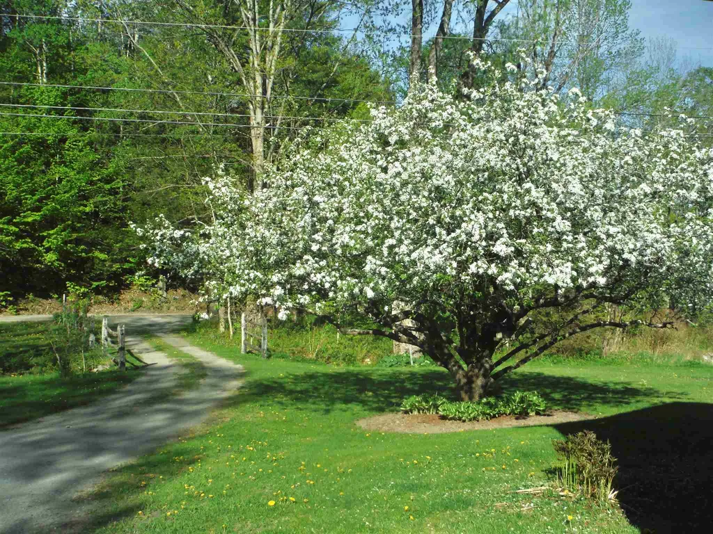 65 Sugar Hill Road Bethel VT 05032