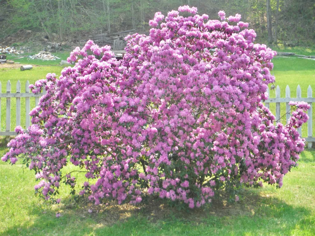 65 Sugar Hill Road Bethel VT 05032