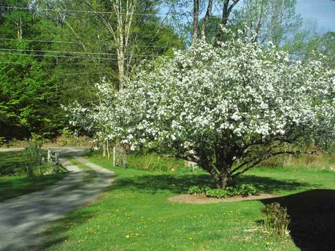 65 Sugar Hill Road Bethel VT 05032